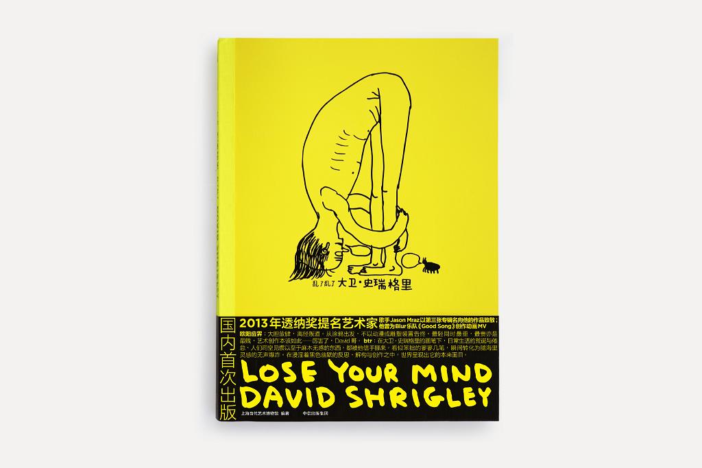 每周一书：大卫·史瑞格里《大卫·史瑞格里：乱了乱了》-BlueDotCC, 蓝点文化创意